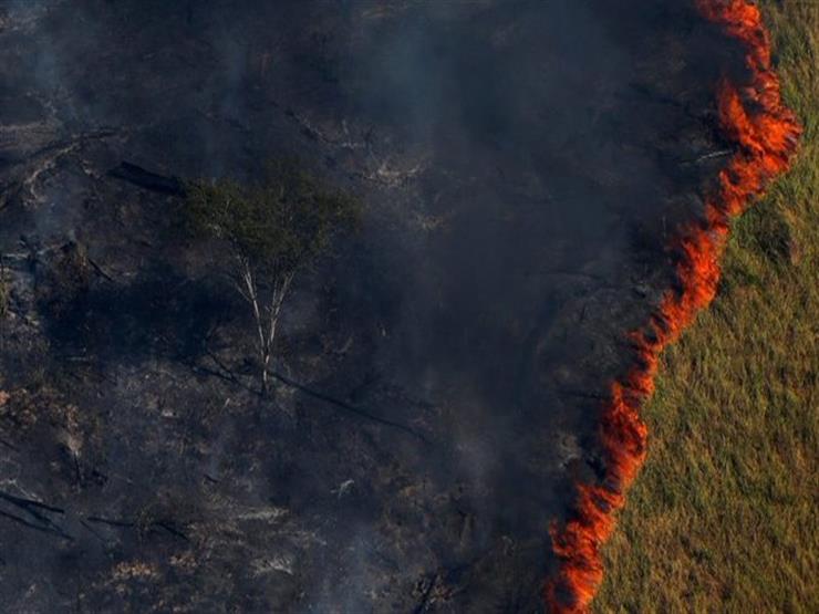 رئة الأرض تحترق ماذا يحدث في غابات الأمازون بالبرازيل مصراوى