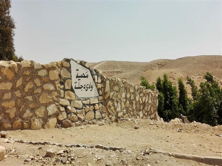 البيئة تنظم مهرجان الطبيعة والثقافات المحلية بمحمية وادي دجلة اليوم البيئة تنظم مهرجان الطبيعة والثقافات المحلية بمحمية وادي دجلة اليوم