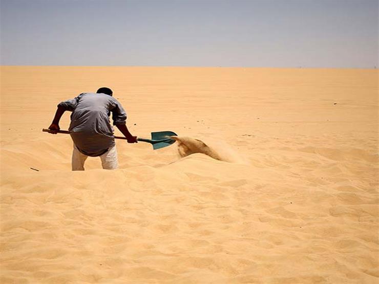 الإفتاء توضح حكم الآثار لو وجدها الإنسان في أرض يمتلكها الإفتاء توضح حكم الآثار لو وجدها الإنسان في أرض يمتلكها