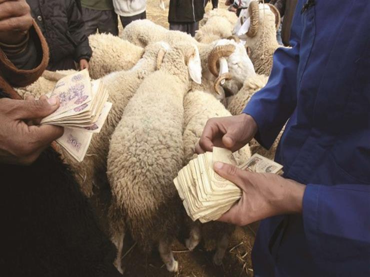 #فتاوى_الأضحية.. هل يجوز صرف ثمن الأضحية على مريض مع نيل ثوابها؟ #فتاوى_الأضحية.. هل يجوز صرف ثمن الأضحية على مريض مع نيل ثوابها؟