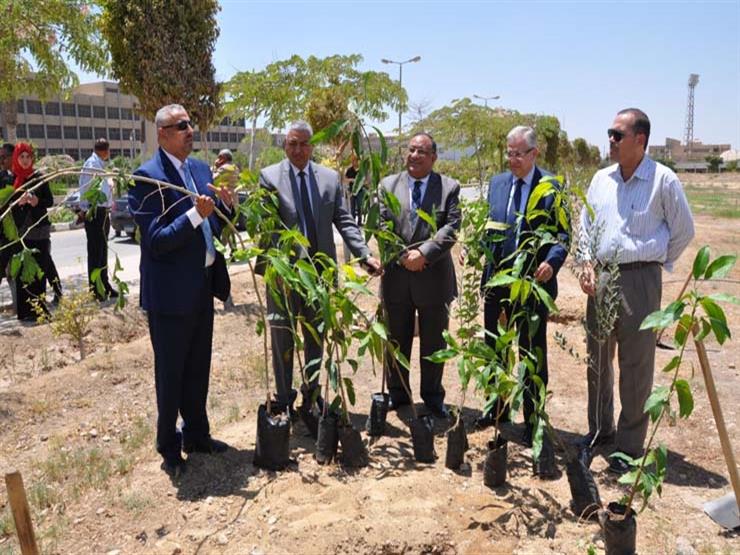 جامعة حلوان تشارك في  هنجملها  بزراعة 500 شجرة مثمرة   مصراوى