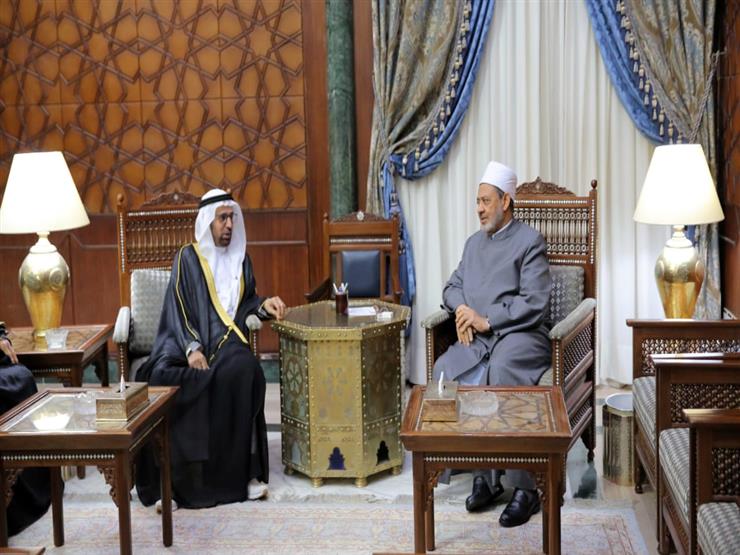 وفد إماراتي يشيد بجهود شيخ الأزهر في نشر قيم السلام والوسطية وفد إماراتي يشيد بجهود شيخ الأزهر في نشر قيم السلام والوسطية