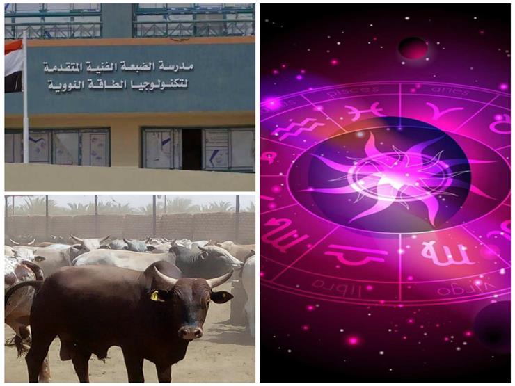 حدث ليلاً| البيئة تعلق على ظهور حوت الساحل وشروط الالتحاق بمدرسة الضبعة النووية حدث ليلاً| البيئة تعلق على ظهور حوت الساحل وشروط الالتحاق بمدرسة الضبعة النووية
