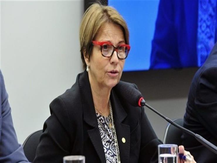 "إنشاء شركة لتنصيع اللحوم".. تفاصيل لقاء وزير الزراعة ونظيرته البرازيلية "إنشاء شركة لتنصيع اللحوم".. تفاصيل لقاء وزير الزراعة ونظيرته البرازيلية
