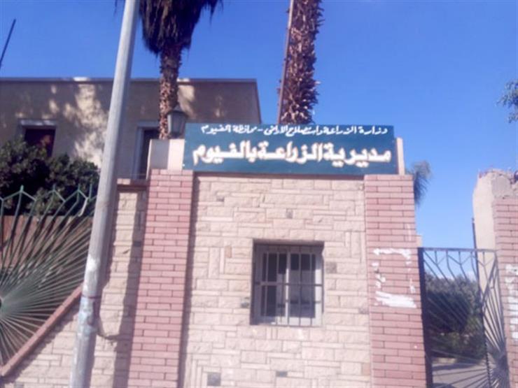 تكليف ربيع مصطفى مديرا لمديرية زراعة الفيوم تكليف ربيع مصطفى مديرا لمديرية زراعة الفيوم