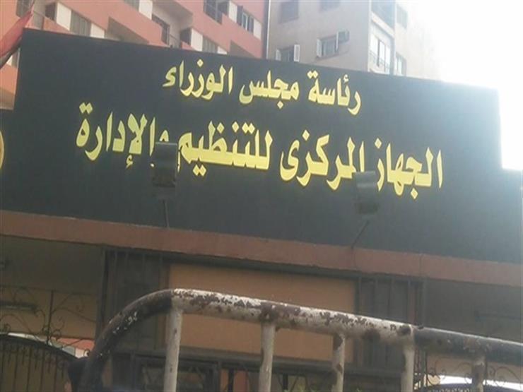 التنظيم والإدارة ينتهي من تكويد 3 ملايين مستند بمشروع الذاكرة المؤسسية التنظيم والإدارة ينتهي من تكويد 3 ملايين مستند بمشروع الذاكرة المؤسسية