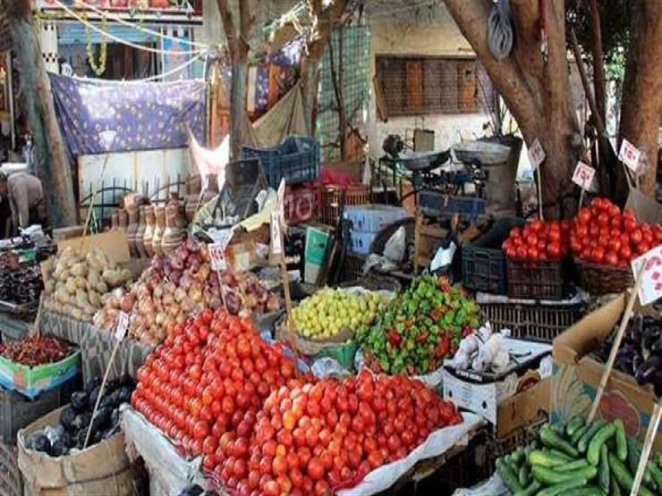 ارتفاع الطماطم وتراجع البطاطس.. كيف تغيرت أسعار الخضر والفاكهة في أسبوع؟ ارتفاع الطماطم وتراجع البطاطس.. كيف تغيرت أسعار الخضر والفاكهة في أسبوع؟