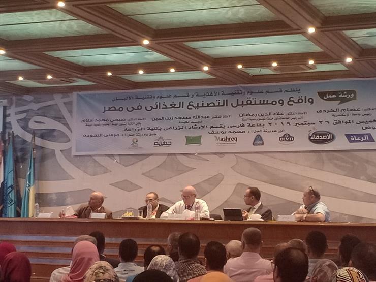 رئيس هيئة سلامة الغذاء: اقتصاد مصر لن يتقدم إلا بالصناعات الصغيرة رئيس هيئة سلامة الغذاء: اقتصاد مصر لن يتقدم إلا بالصناعات الصغيرة