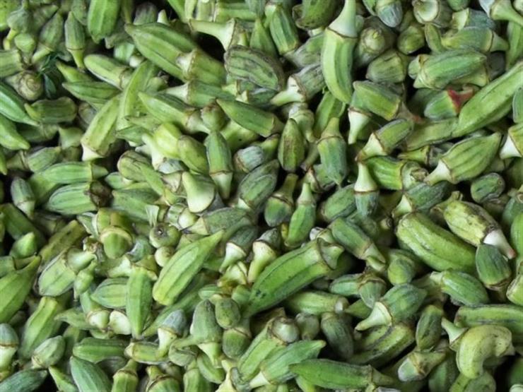 زيادة الخيار والبامية.. أسعار الخضروات والفاكهة بسوق العبور زيادة الخيار والبامية.. أسعار الخضروات والفاكهة بسوق العبور