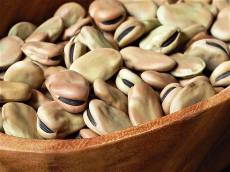 شعبة الحاصلات الزراعية: ارتفاع أسعار الفول المستورد بسبب حرائق أستراليا شعبة الحاصلات الزراعية: ارتفاع أسعار الفول المستورد بسبب حرائق أستراليا
