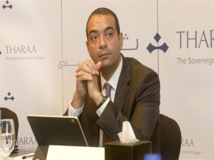 صندوق مصر السيادي: شركة "أكتيس" عرضت شراء إحدى محطات كهرباء سيمنس صندوق مصر السيادي: شركة "أكتيس" عرضت شراء إحدى محطات كهرباء سيمنس