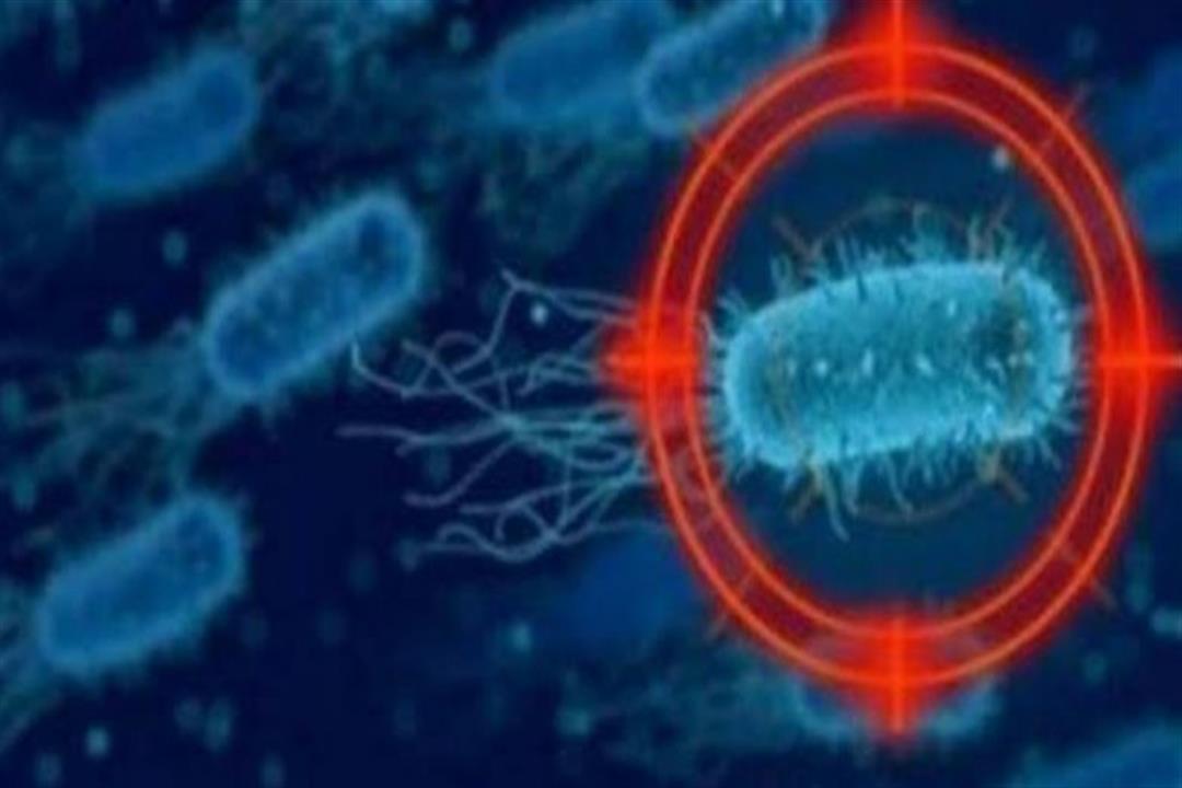 الصحة تبحث مع الصين إجراءات مواجهة كورونا.. وخط ساخن للأمراض الوبائية الصحة تبحث مع الصين إجراءات مواجهة كورونا.. وخط ساخن للأمراض الوبائية