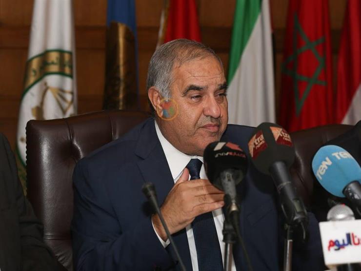 المحكمة الدستورية تقضي بدستورية عقوبة التهرب من الضرائب المحكمة الدستورية تقضي بدستورية عقوبة التهرب من الضرائب