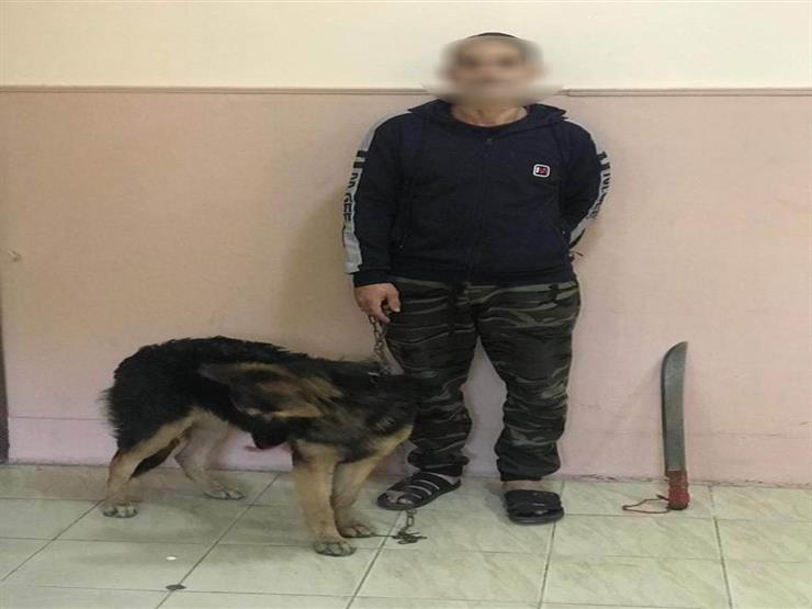 بسيف وكلب.. القبض على بلطجي روع مواطنين في الإسكندرية بسيف وكلب.. القبض على بلطجي روع مواطنين في الإسكندرية