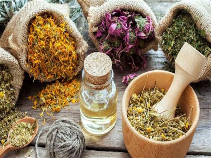 علاج عشبي شائع قد يمنع الصلع.. اعرفه علاج عشبي شائع قد يمنع الصلع.. اعرفه