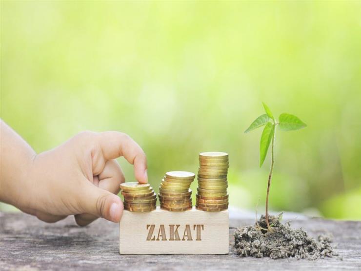 لم يخرجها في حياته.. هل يجوز إخراج الزكاة عن المتوفى؟.. أمين الفتوى يجيب لم يخرجها في حياته.. هل يجوز إخراج الزكاة عن المتوفى؟.. أمين الفتوى يجيب