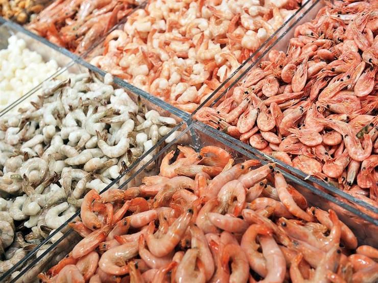ارتفاع البوري والجمبري.. أسعار الأسماك في سوق العبور اليوم ارتفاع البوري والجمبري.. أسعار الأسماك في سوق العبور اليوم