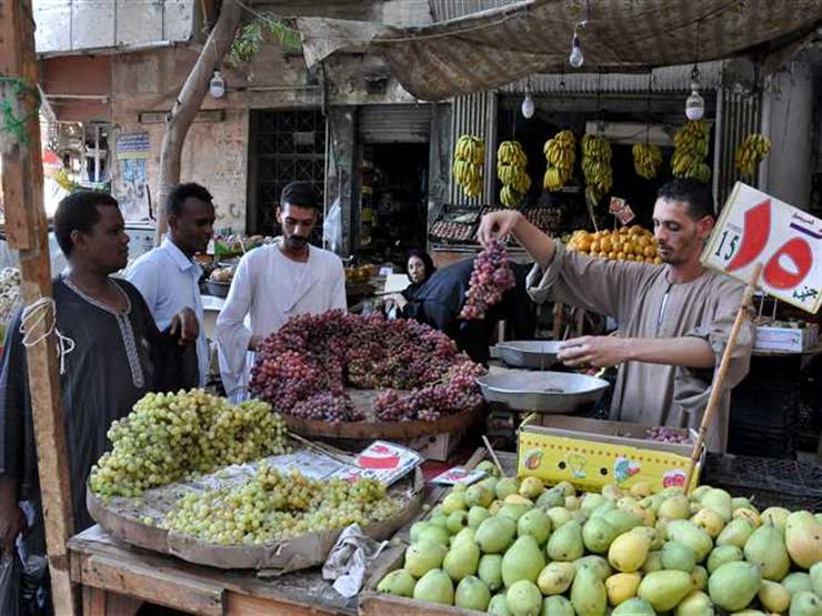 ارتفاع الخيار والباذنجان.. أسعار الخضر والفاكهة في سوق العبور اليوم ارتفاع الخيار والباذنجان.. أسعار الخضر والفاكهة في سوق العبور اليوم
