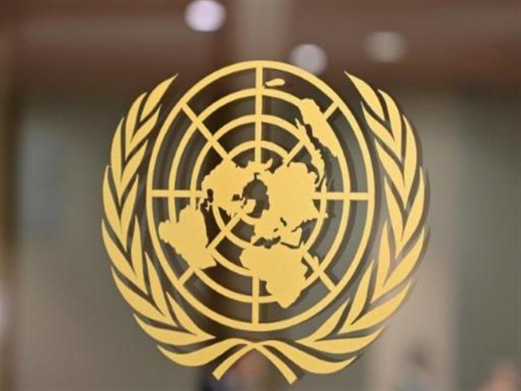 الأمم المتحدة تدعو الحكومة العراقية إلى بذل الجهود لحماية المتظاهرين الأمم المتحدة تدعو الحكومة العراقية إلى بذل الجهود لحماية المتظاهرين