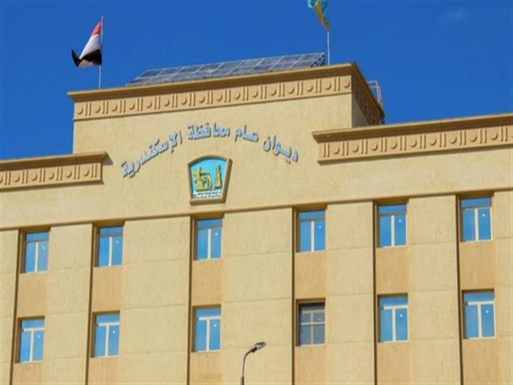 لمواجهة "عوة والعجوزة".. 4 توجيهات من محافظة الإسكندرية للمواطنين لمواجهة "عوة والعجوزة".. 4 توجيهات من محافظة الإسكندرية للمواطنين