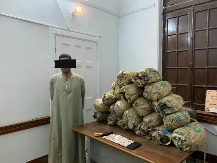 حصار واقتحام.. سقوط تاجر مخدرات وبحوزته ٦٠ كيلو بانجو خام في قنا حصار واقتحام.. سقوط تاجر مخدرات وبحوزته ٦٠ كيلو بانجو خام في قنا