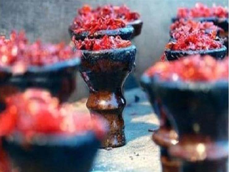 كورونا يضرب مبيعات المعسل محليا.. ولا زيادة في الطلب على السجائر كورونا يضرب مبيعات المعسل محليا.. ولا زيادة في الطلب على السجائر