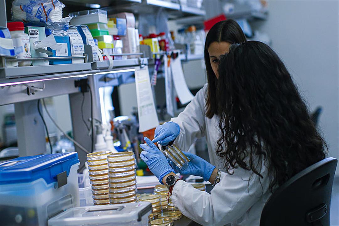FDA تعطي الضوء الأخضر على استخدام عقارين للملاريا في علاج كورونا FDA تعطي الضوء الأخضر على استخدام عقارين للملاريا في علاج كورونا