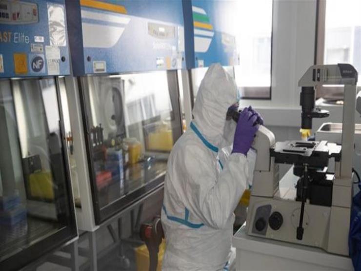 "PCR" ليس شرطًا.. الصحة العالمية تعلن معايير تعافي مصابي كورونا "PCR" ليس شرطًا.. الصحة العالمية تعلن معايير تعافي مصابي كورونا