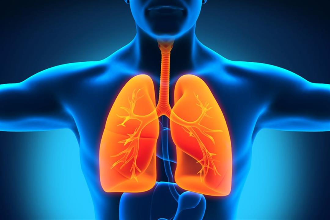 6 طرق طبيعية توفر لجهازك التنفسي حماية كاملة من فيروس كورونا 6 طرق طبيعية توفر لجهازك التنفسي حماية كاملة من فيروس كورونا