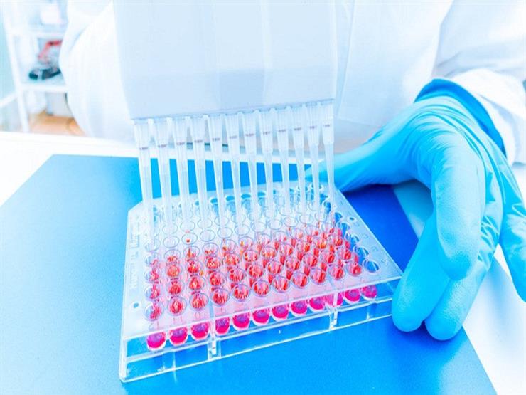 روسيا تنجح في اختبار "لقاح موجه" لعلاج كورونا روسيا تنجح في اختبار "لقاح موجه" لعلاج كورونا
