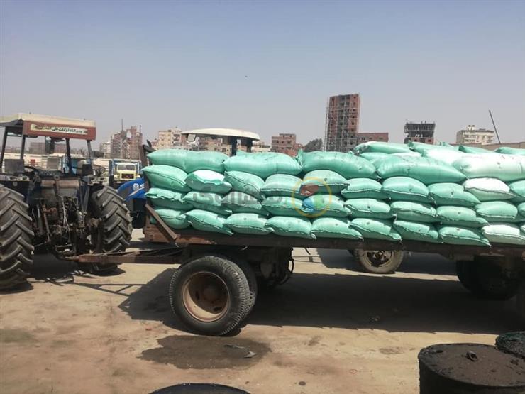 تموين الأقصر: توريد 9800 طن قمح إلى الشون والصوامع حتى الآن تموين الأقصر: توريد 9800 طن قمح إلى الشون والصوامع حتى الآن