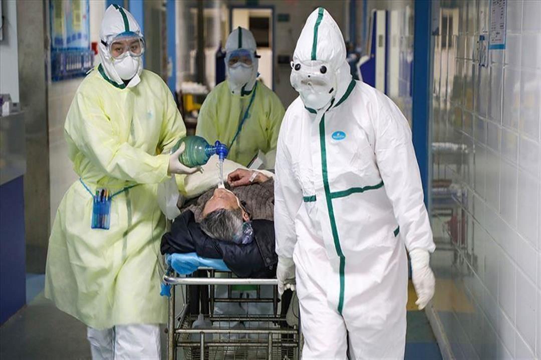 هل يصيب كورونا المتعافين منه مجددًا؟.. العلماء يحسمون الجدل هل يصيب كورونا المتعافين منه مجددًا؟.. العلماء يحسمون الجدل