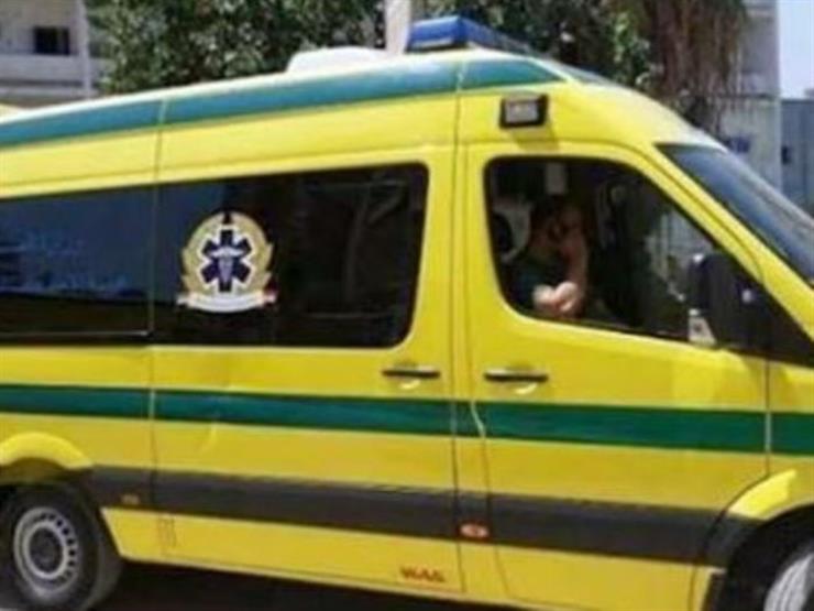 3 مصابين في انقلاب سيارة أسفل هضبة النقب بالوادي الجديد 3 مصابين في انقلاب سيارة أسفل هضبة النقب بالوادي الجديد