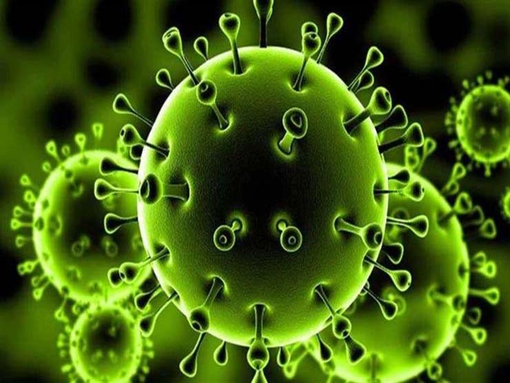 أعضاء الحكومة الجزائرية يتبرعون بشهر من رواتبهم لمكافحة كورونا أعضاء الحكومة الجزائرية يتبرعون بشهر من رواتبهم لمكافحة كورونا