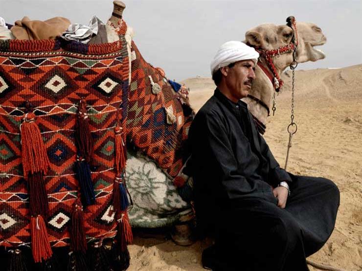 تراجع النمو وتوقف السياحة.. ماذا حدث للاقتصاد المصري بعد انتشار كورونا؟ تراجع النمو وتوقف السياحة.. ماذا حدث للاقتصاد المصري بعد انتشار كورونا؟