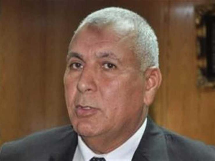 محافظ الوادي الجديد: دعم قطاع الكهرباء بمحولين جديدين محافظ الوادي الجديد: دعم قطاع الكهرباء بمحولين جديدين