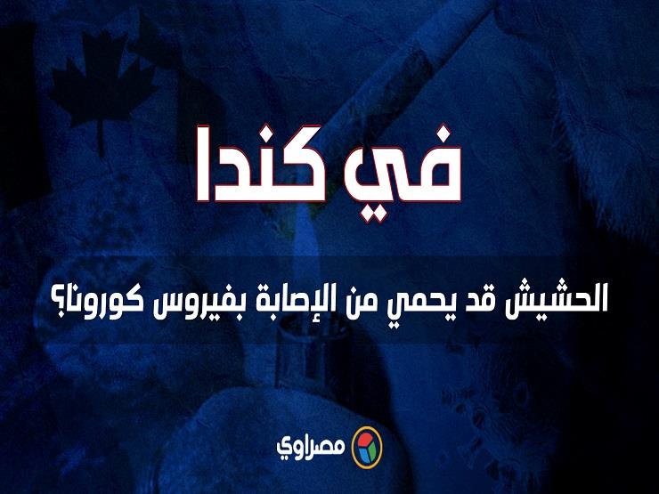 في كندا..الحشيش قد يحمي من الإصابة بفيروس كورونا؟ في كندا..الحشيش قد يحمي من الإصابة بفيروس كورونا؟
