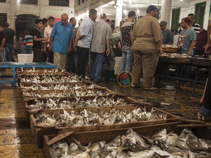 ماذا فعلت أسعار الأسماك في الأسبوع الرابع من رمضان؟ ماذا فعلت أسعار الأسماك في الأسبوع الرابع من رمضان؟