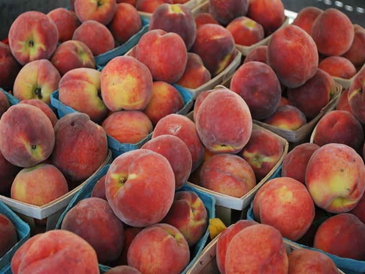 الحكومة تنفي تداول خوخ مسرطن بالأسواق الحكومة تنفي تداول خوخ مسرطن بالأسواق