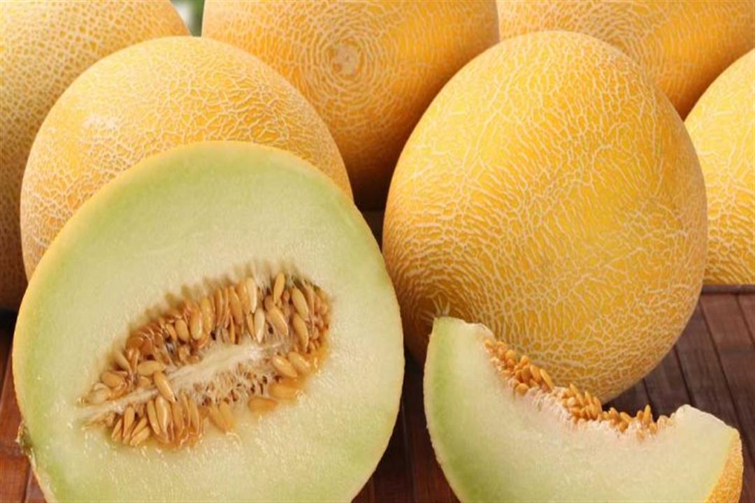 رغم فوائده.. الإفراط في تناول الشمام يهدد بزيادة الوزن رغم فوائده.. الإفراط في تناول الشمام يهدد بزيادة الوزن