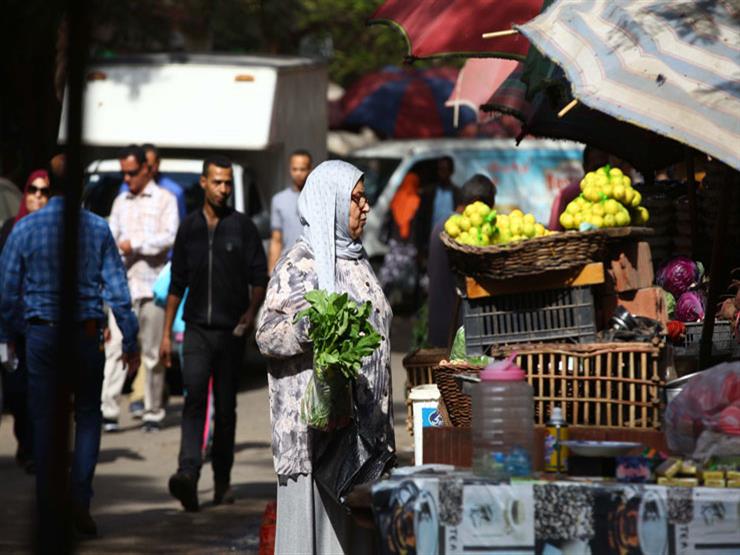 دفعت التضخم للانخفاض.. لماذا تراجعت أسعار الخضروات الشهر الماضي؟ دفعت التضخم للانخفاض.. لماذا تراجعت أسعار الخضروات الشهر الماضي؟