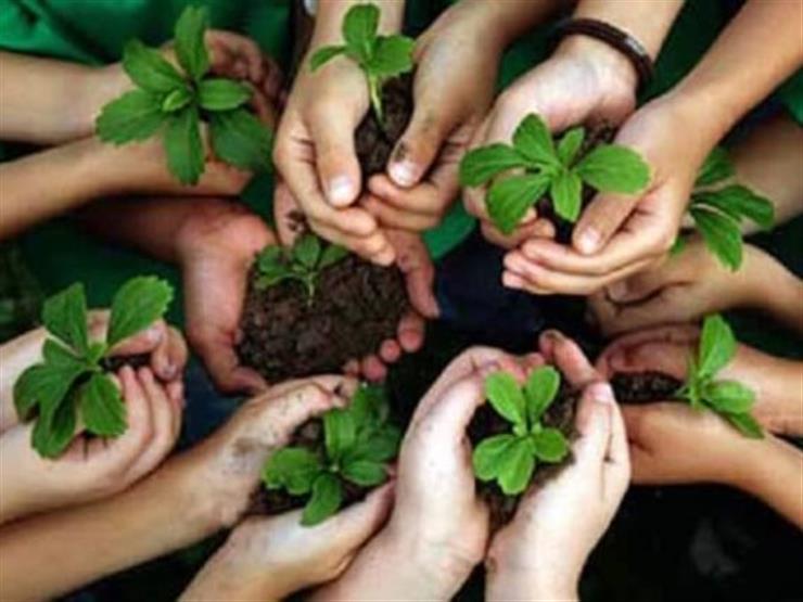 استخراج 40 طن مخلفات.. 10 معلومات عن مبادرة استخراج 40 طن مخلفات.. 10 معلومات عن مبادرة