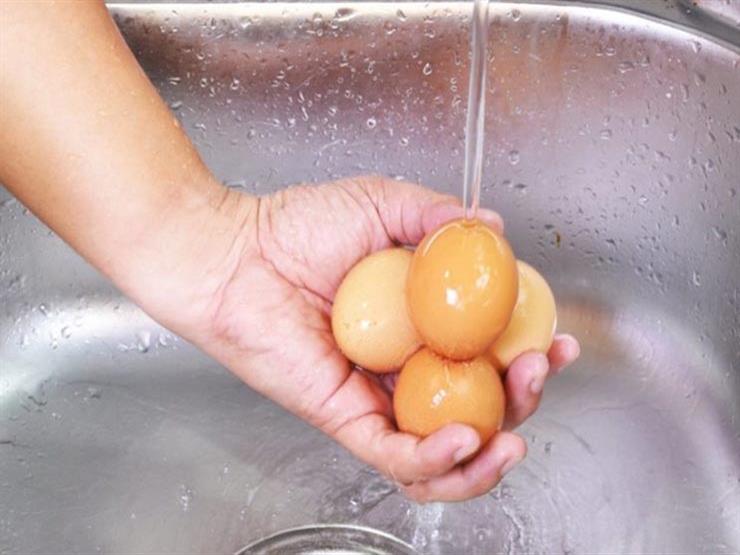 احذر غسل البيض قبل استخدامه.. وإليك طريقة التنظيف الصحيحة احذر غسل البيض قبل استخدامه.. وإليك طريقة التنظيف الصحيحة