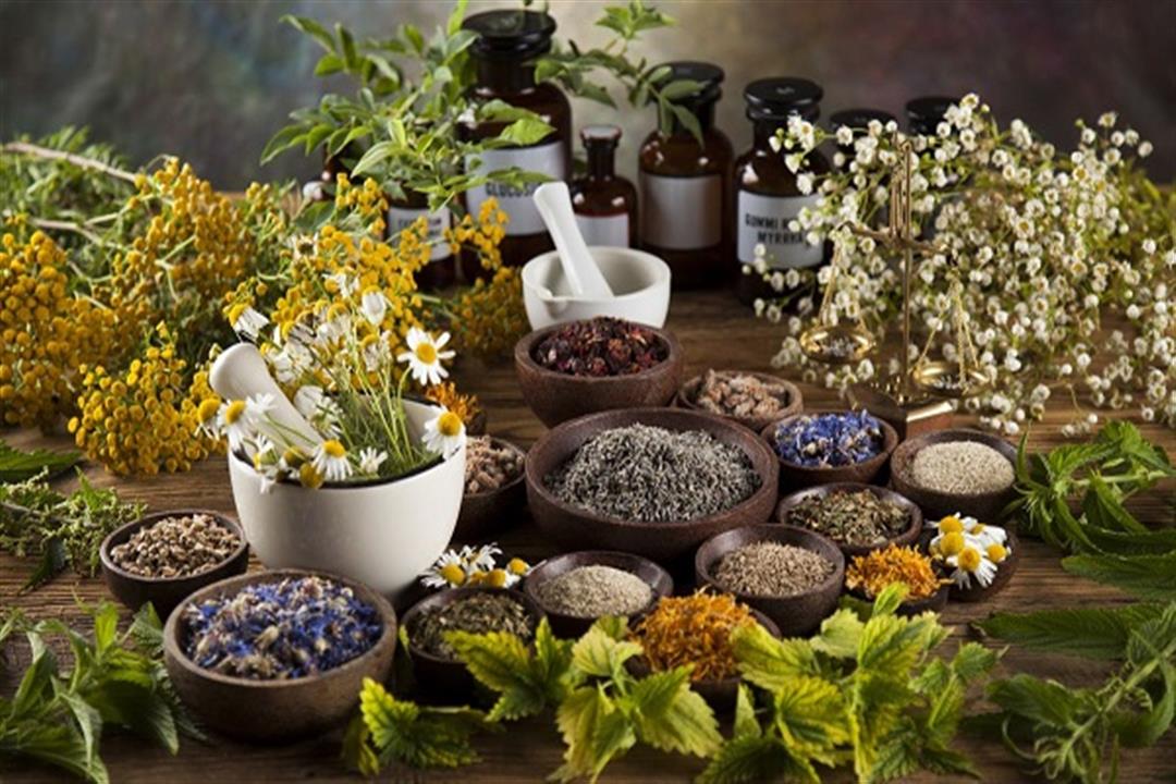 غير القرفة.. 4 أعشاب تساعد على ضبط نسبة السكر بالدم غير القرفة.. 4 أعشاب تساعد على ضبط نسبة السكر بالدم