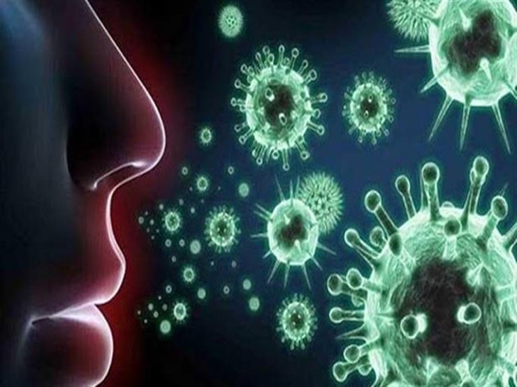كورونا داخل الجسم.. يتنكر ويختبئ من جهاز المناعة حتى يتكاثر كورونا داخل الجسم.. يتنكر ويختبئ من جهاز المناعة حتى يتكاثر