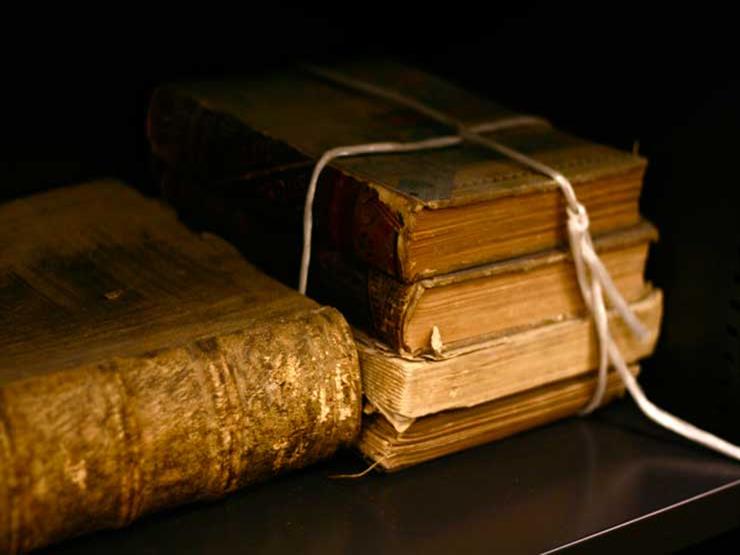 مرشحًا أفضل الكتب.. نصيحة أمين الفتوى لمن يقرأ في التاريخ الإسلامي مرشحًا أفضل الكتب.. نصيحة أمين الفتوى لمن يقرأ في التاريخ الإسلامي