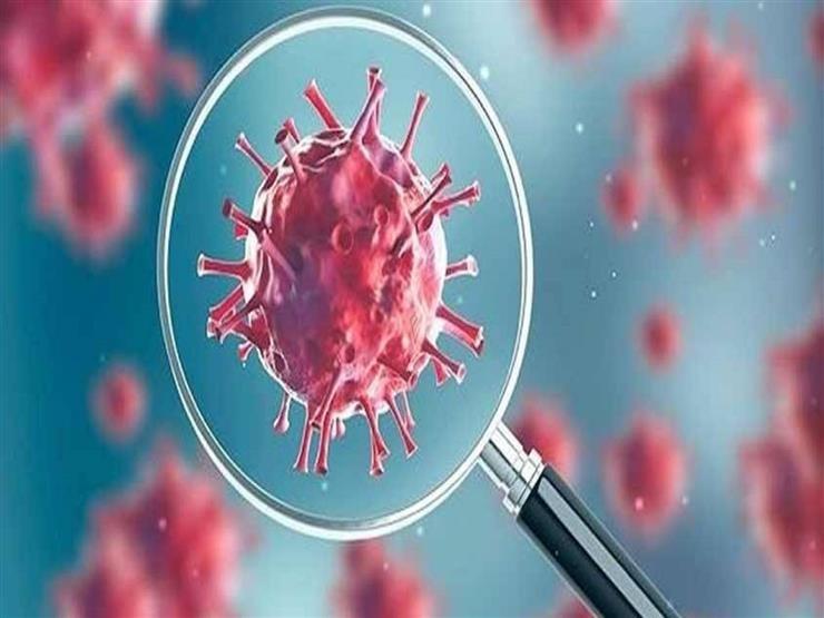 علماء يحذرون: فيروس كورونا ينتقل عبر استنشاق الهواء علماء يحذرون: فيروس كورونا ينتقل عبر استنشاق الهواء