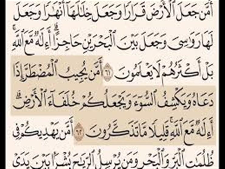 "دي أسئلة بني إسرائيل".. تعليق من أمين الفتوى على سؤال "من المضطر مجاب الدعوة؟" "دي أسئلة بني إسرائيل".. تعليق من أمين الفتوى على سؤال "من المضطر مجاب الدعوة؟"