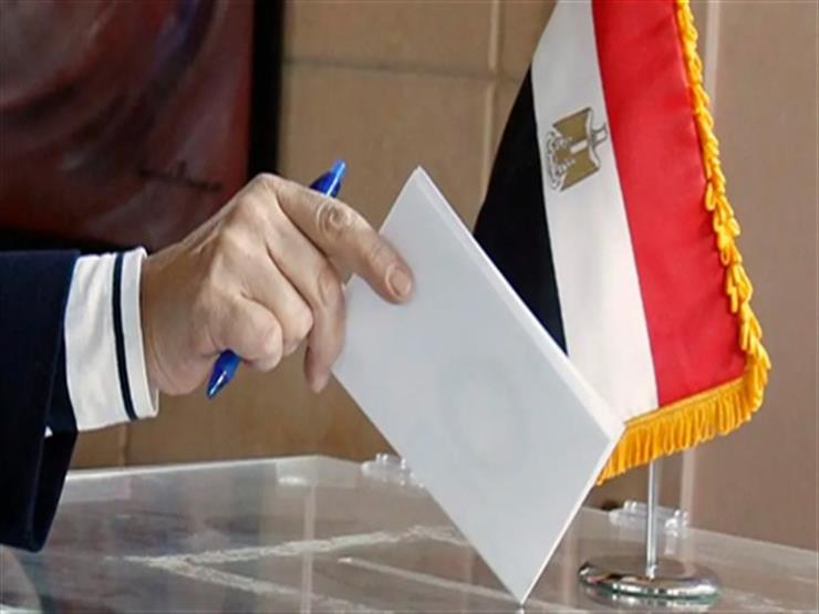 ارتفاع عدد المتقدمين لانتخابات النواب بالسويس إلى 19 مرشحًا ارتفاع عدد المتقدمين لانتخابات النواب بالسويس إلى 19 مرشحًا
