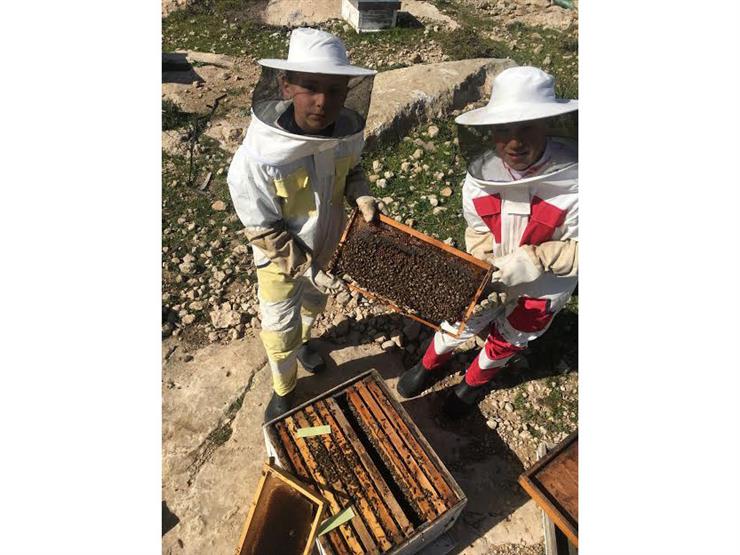 سوا في المنحل.. رحلة فلسطيني وصغاره مع إنتاج العسل 2020_9_15_22_57_7_320